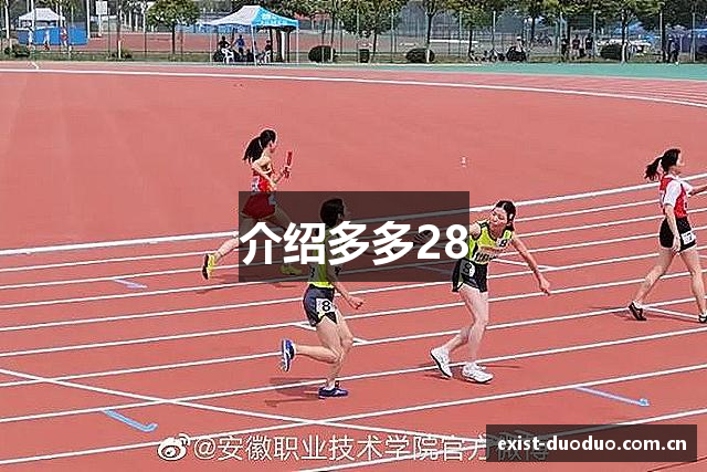 介绍多多28